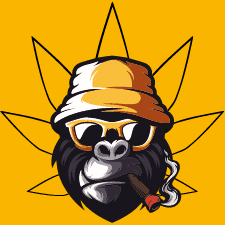 Data DestockCBD TESTS